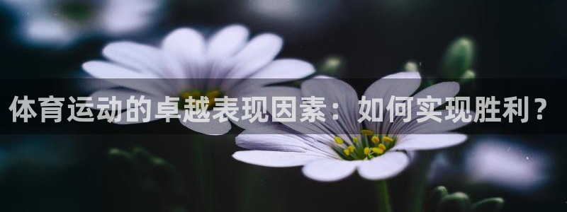 u球体育UFC