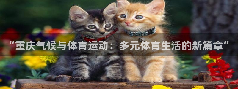 u球体育官网