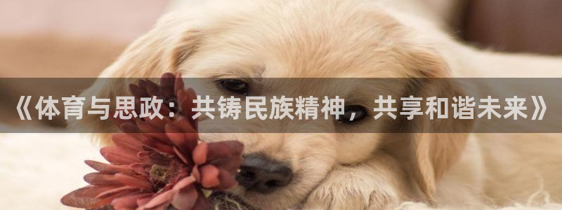 u球体育苹果下载