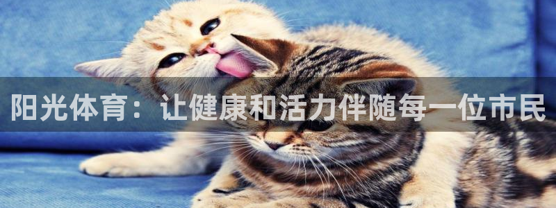 u球体育app：阳光体育：让健康和活力伴随每一位市民