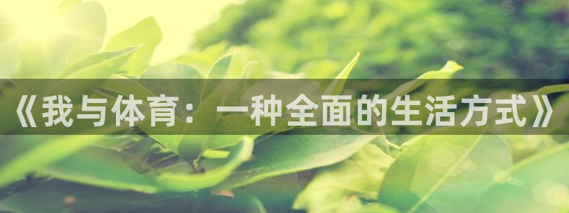 u球体育app