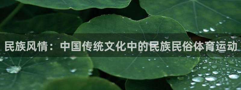 u球体育官网：民族风情：中国传统文化中的民族民俗体育运动