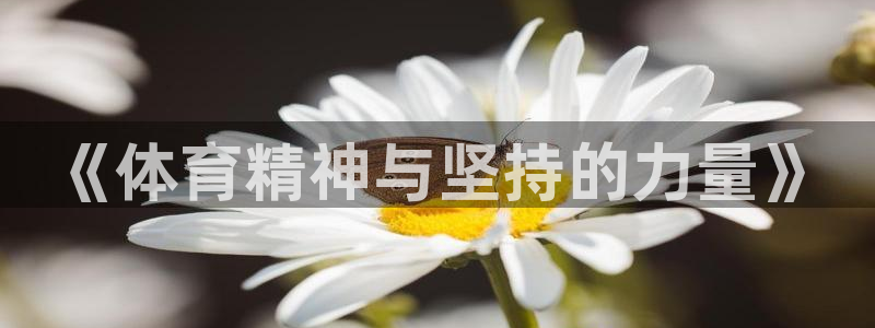 u球体育苹果下载：《体育精神与坚持的力量》